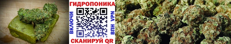 Печенье с ТГК конопля  KRAKEN   Волгоград  где купить  