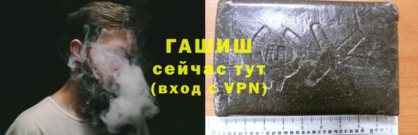 дживик Каменка