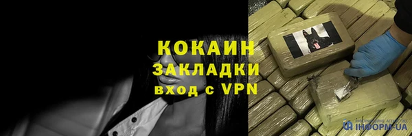 дживик Каменка