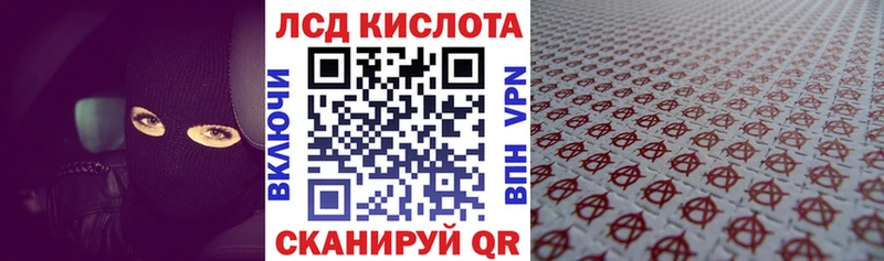 дарк нет состав  Волгоград  Марки N-bome 1,8мг  где купить наркоту 