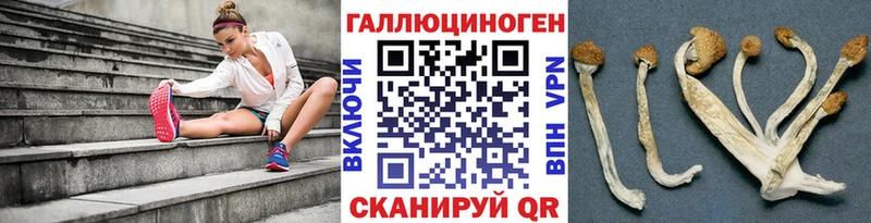 Галлюциногенные грибы Magic Shrooms  Волгоград 