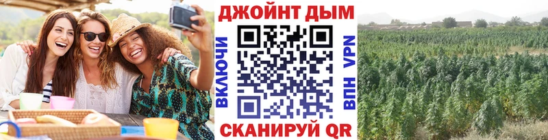 ОМГ ОМГ зеркало  Волгоград  Бошки Шишки семена  что такое наркотик 